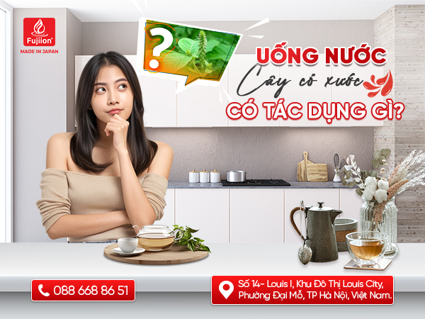 Uống nước cây cỏ xước có tác dụng gì? Có nên dùng lâu dài?