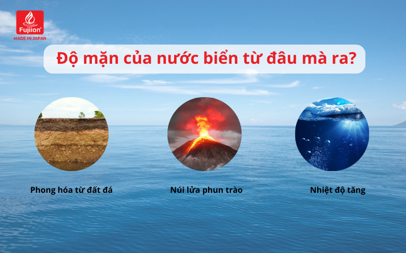Độ mặn của nước biển từ đâu mà ra? Độ mặn của nước biển từ đâu mà ra?